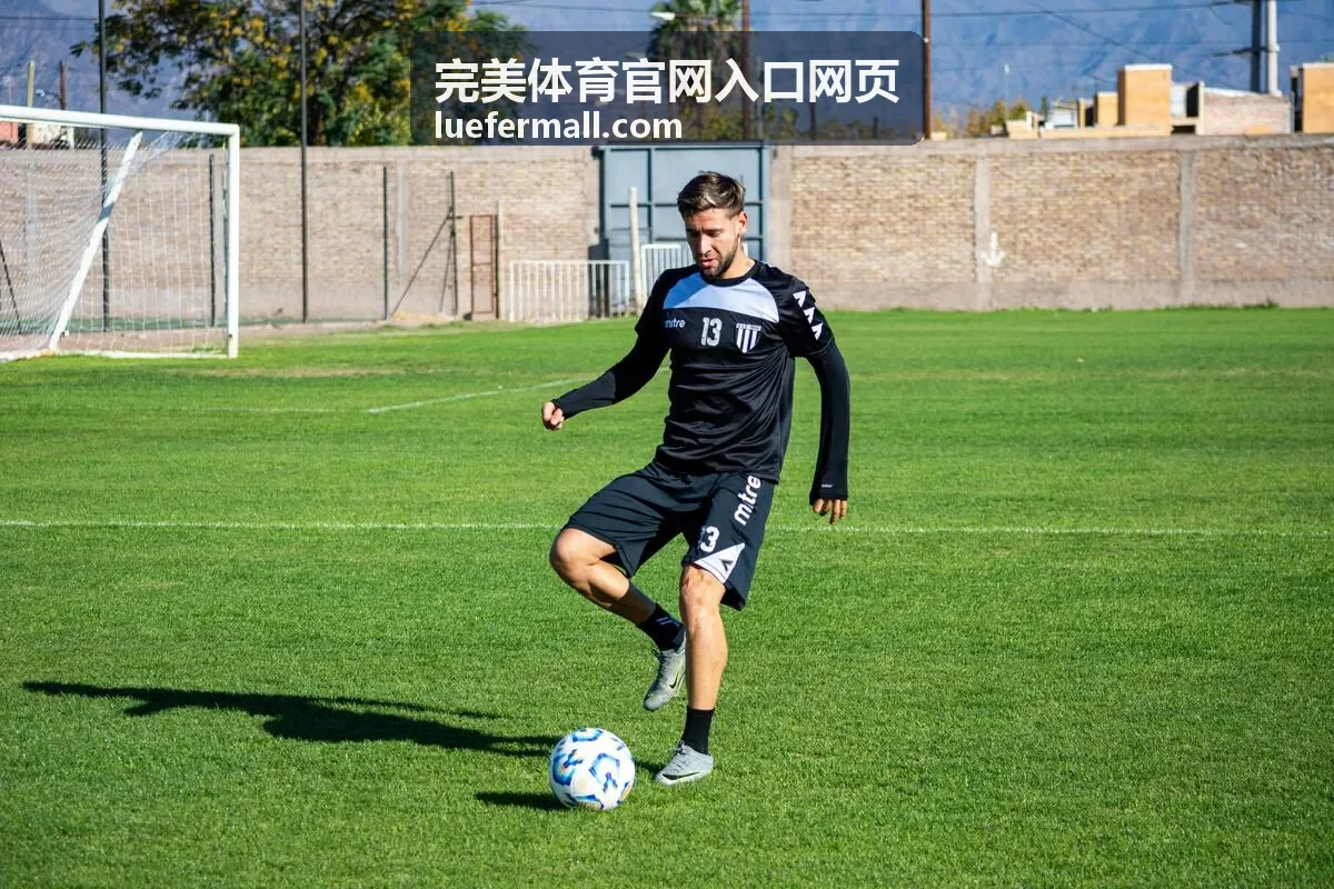 完美体育官网入口网页多项目赛程日历视图