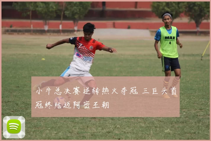 小牛总决赛逆转热火夺冠 三巨头首冠终结迈阿密王朝