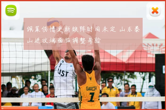 佩莱伤情更新缺阵时间未定 山东泰山进攻端面临调整考验