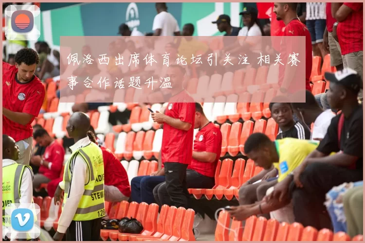 佩洛西出席体育论坛引关注 相关赛事合作话题升温