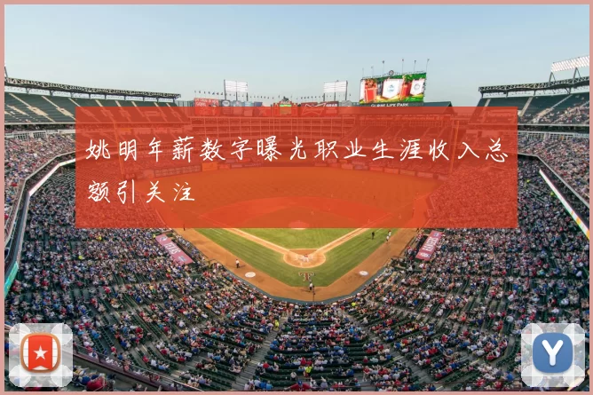 姚明年薪数字曝光职业生涯收入总额引关注