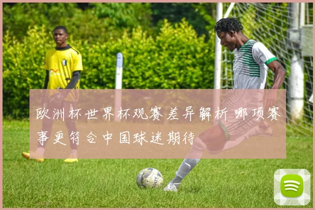 欧洲杯世界杯观赛差异解析 哪项赛事更符合中国球迷期待