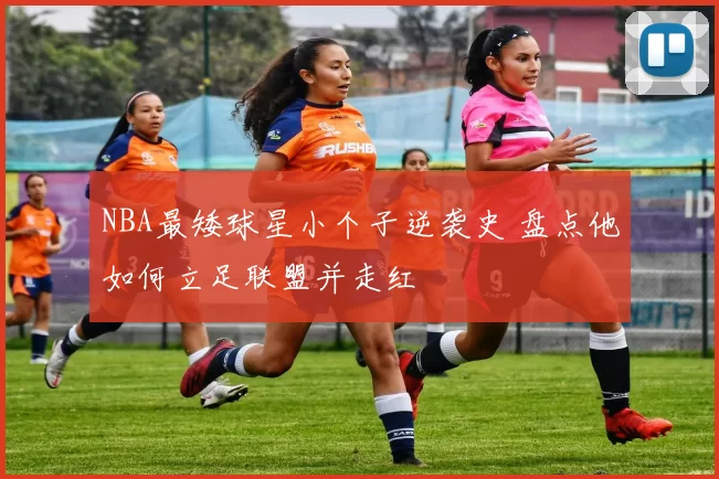 NBA最矮球星小个子逆袭史 盘点他如何立足联盟并走红