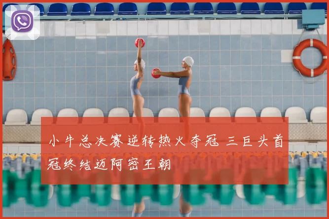 小牛总决赛逆转热火夺冠 三巨头首冠终结迈阿密王朝