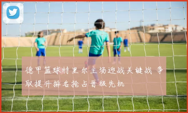 德甲篮球特里尔主场迎战关键战 争取提升排名抢占晋级先机
